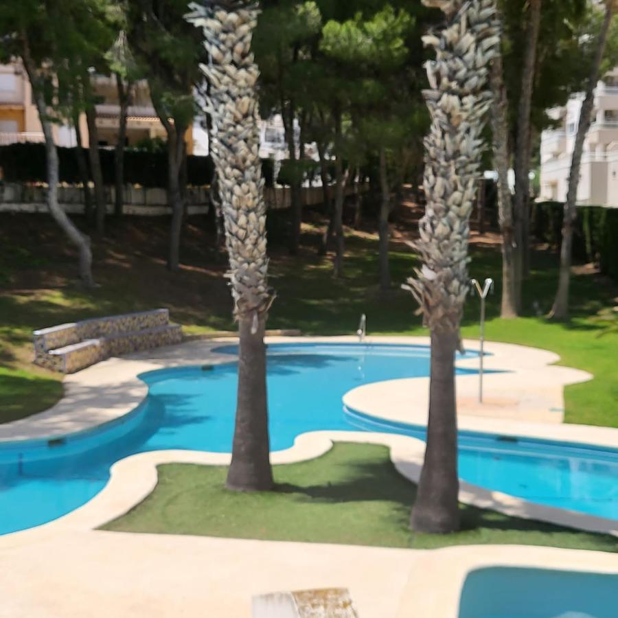 Apartamento Ines, Dehesa De Campoamor,900M From The Sea , Swimming Pool & Tennis Court Kültér fotó